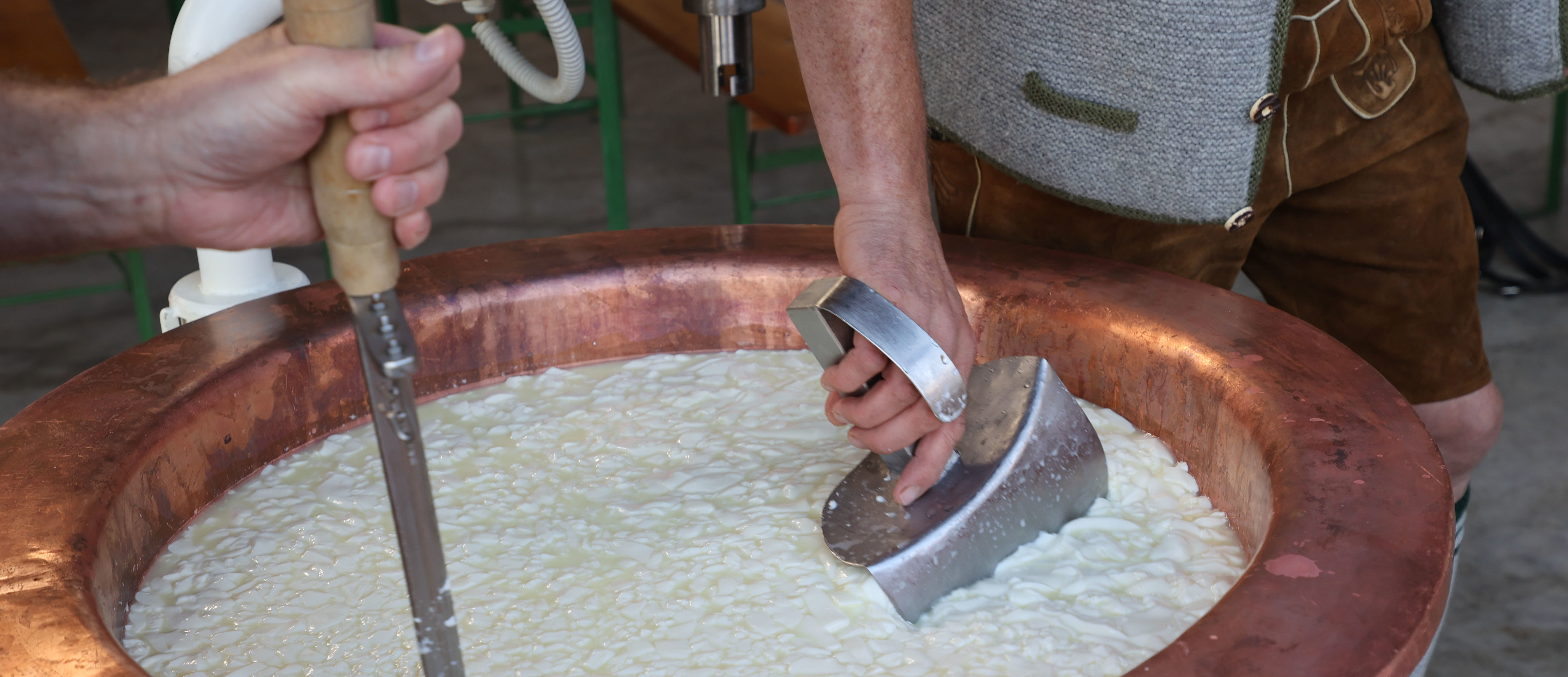 WOERLE Spürnasen-Aktivtag mit Herstellung eines Käselaibs